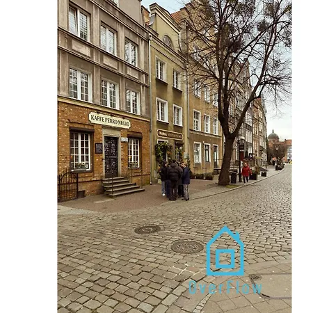 Homestay Stary Jungle *